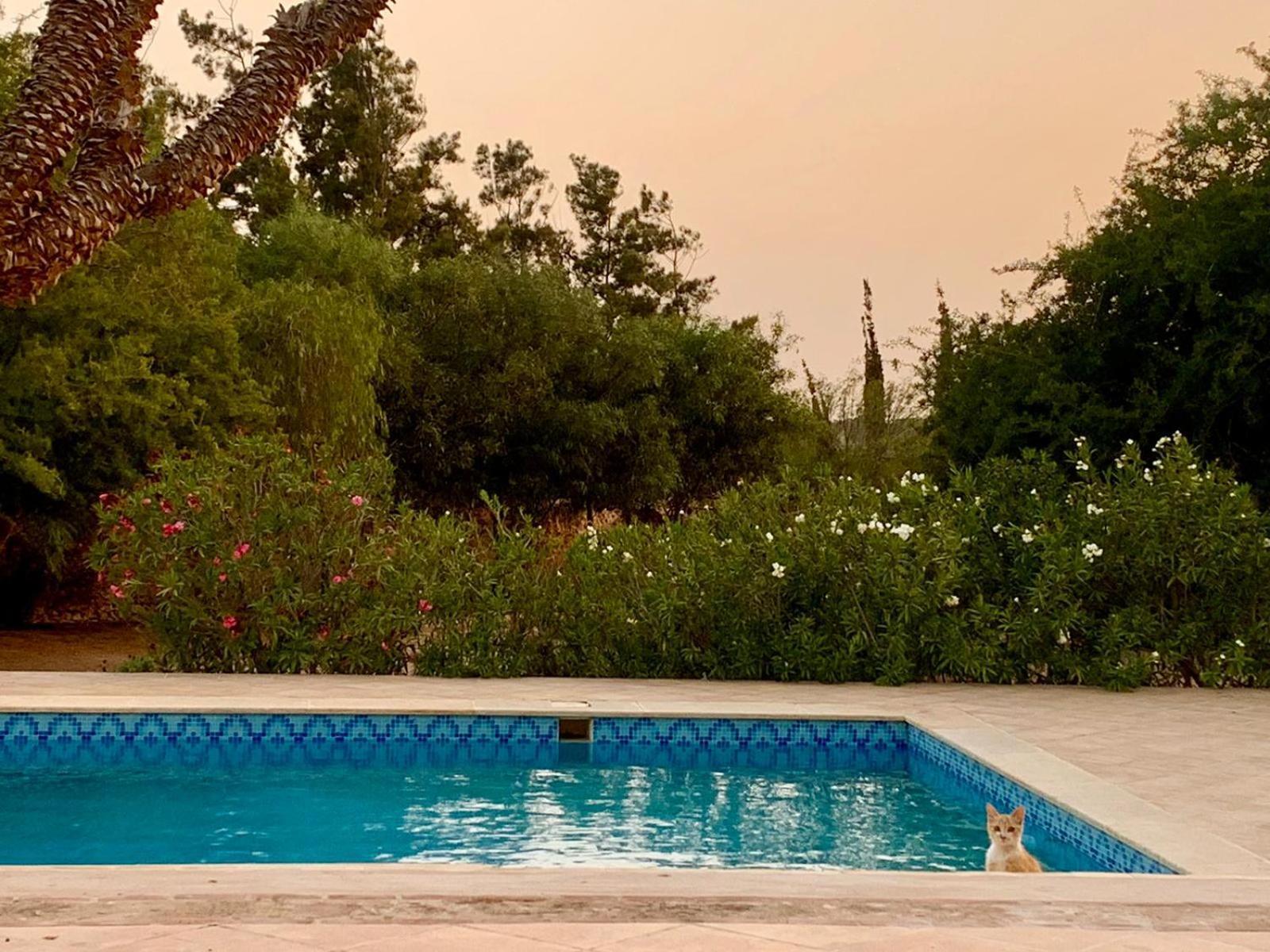 Villa Le Domaine D'eden - Luxueuse, Piscine, Et Personnel *